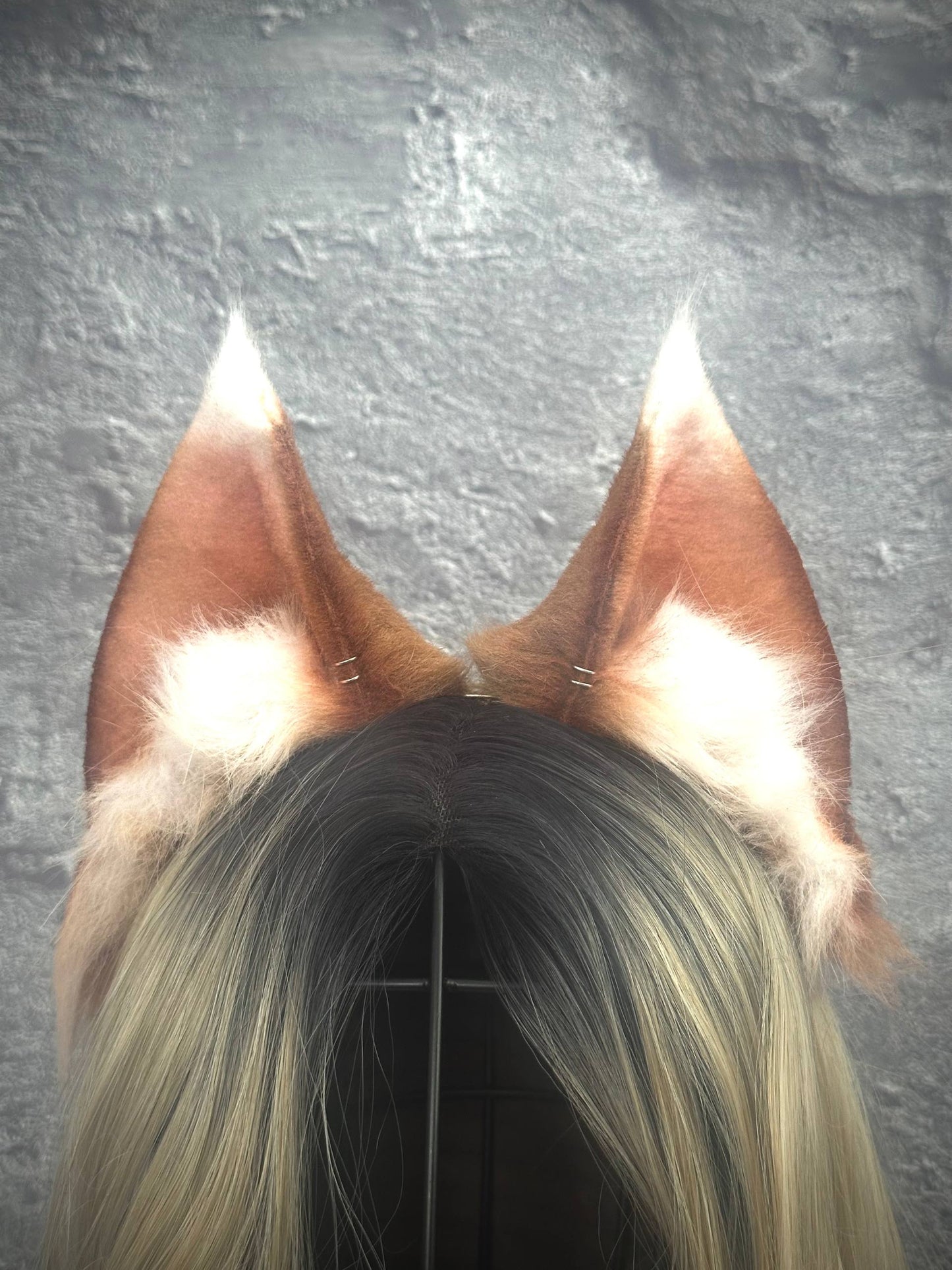 Holo Ears RFS