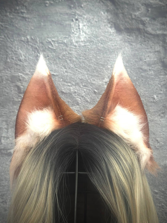 Holo Ears RFS