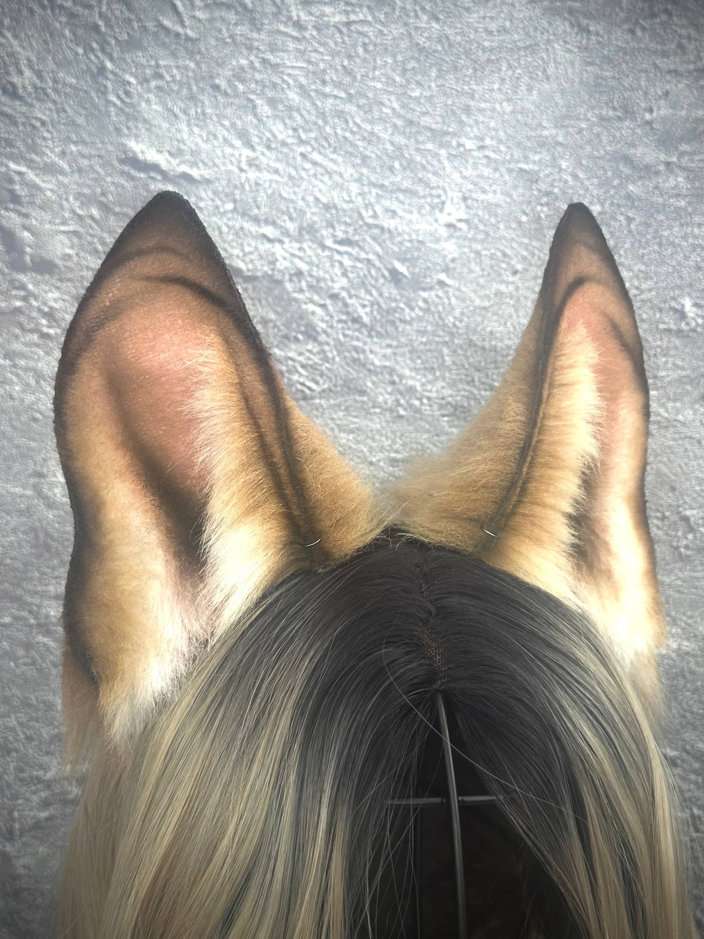 Dog Ears RFS
