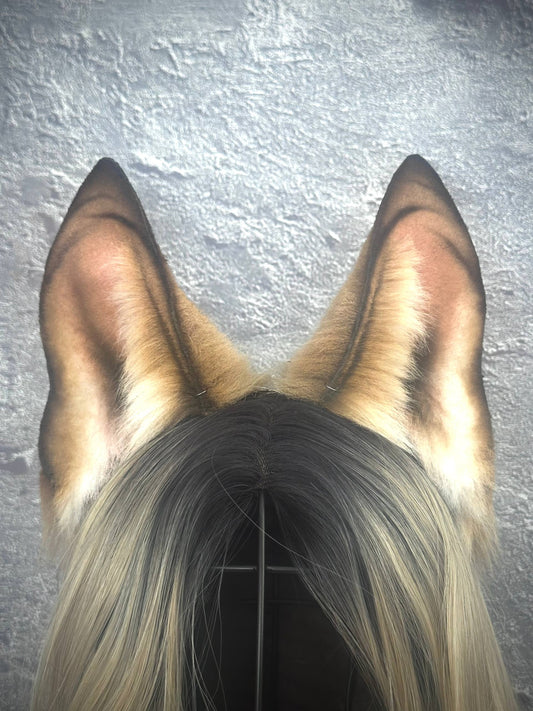 Dog Ears RFS