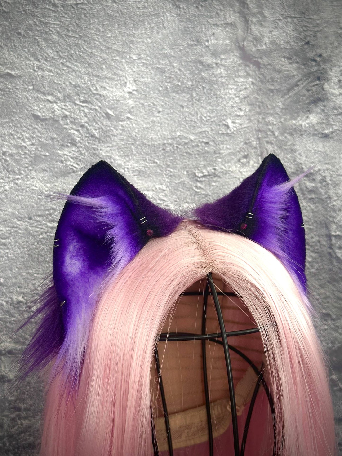 Purple Kitten RFS