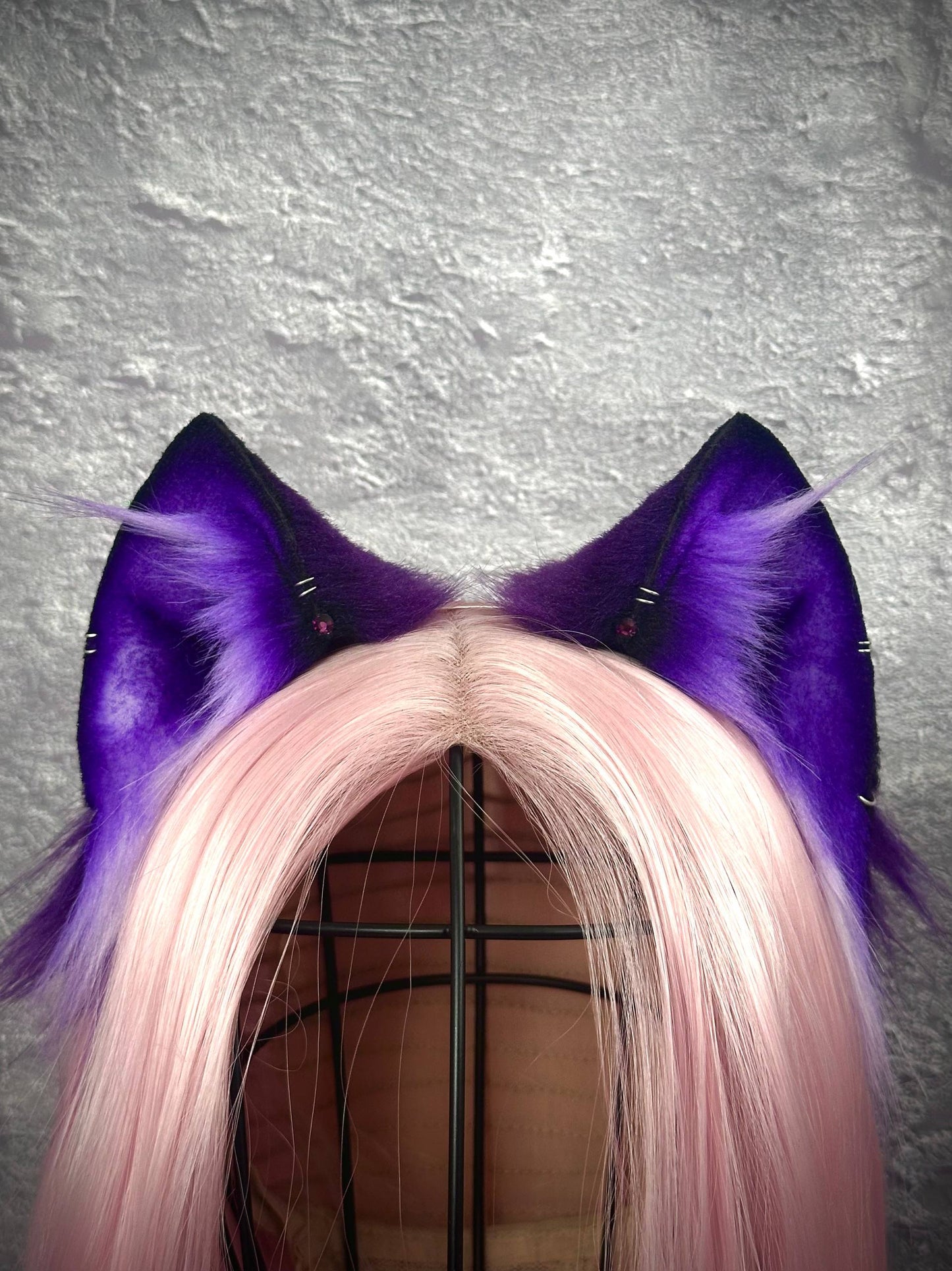 Purple Kitten RFS