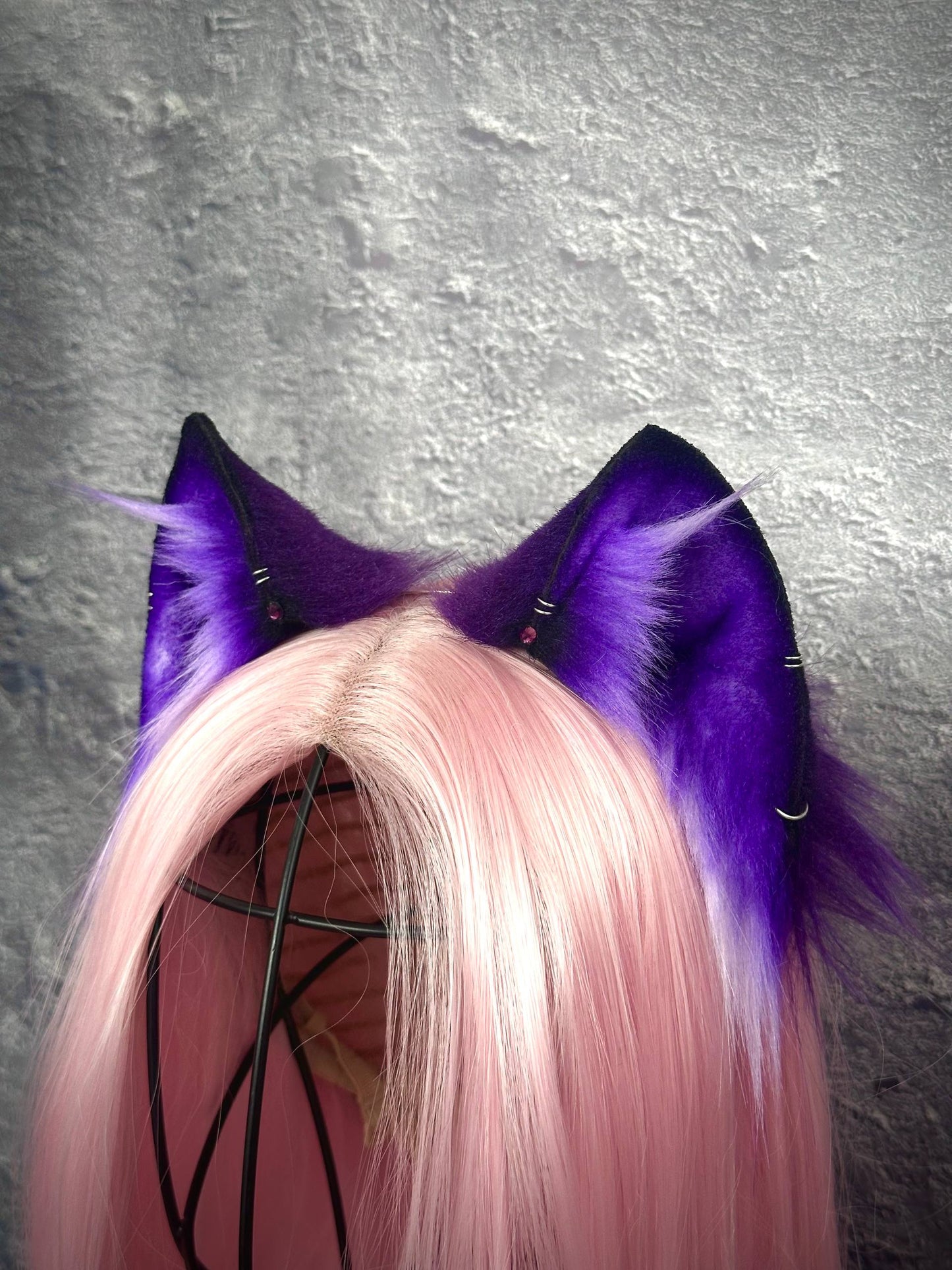 Purple Kitten RFS