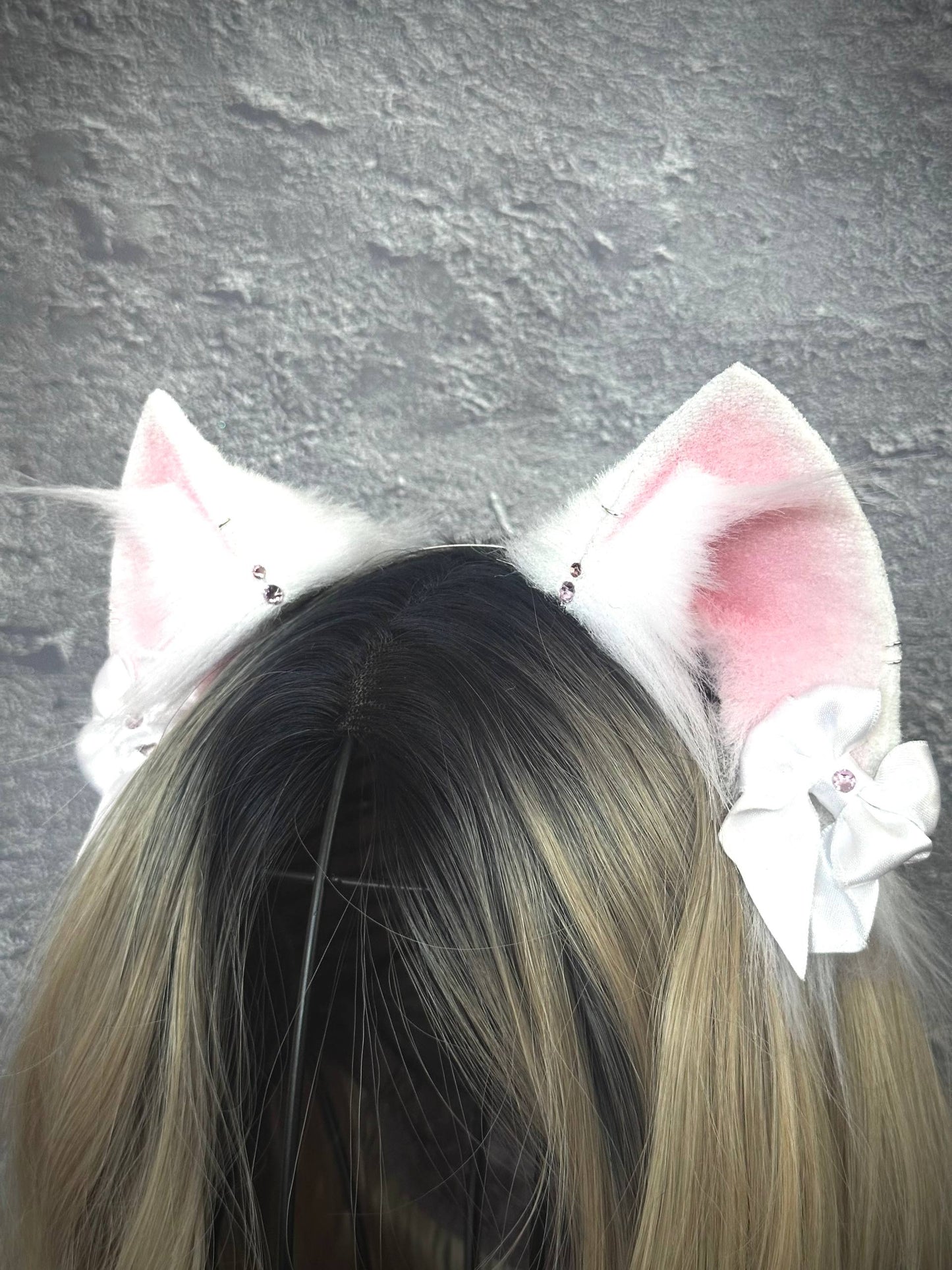 White Kitten RFS