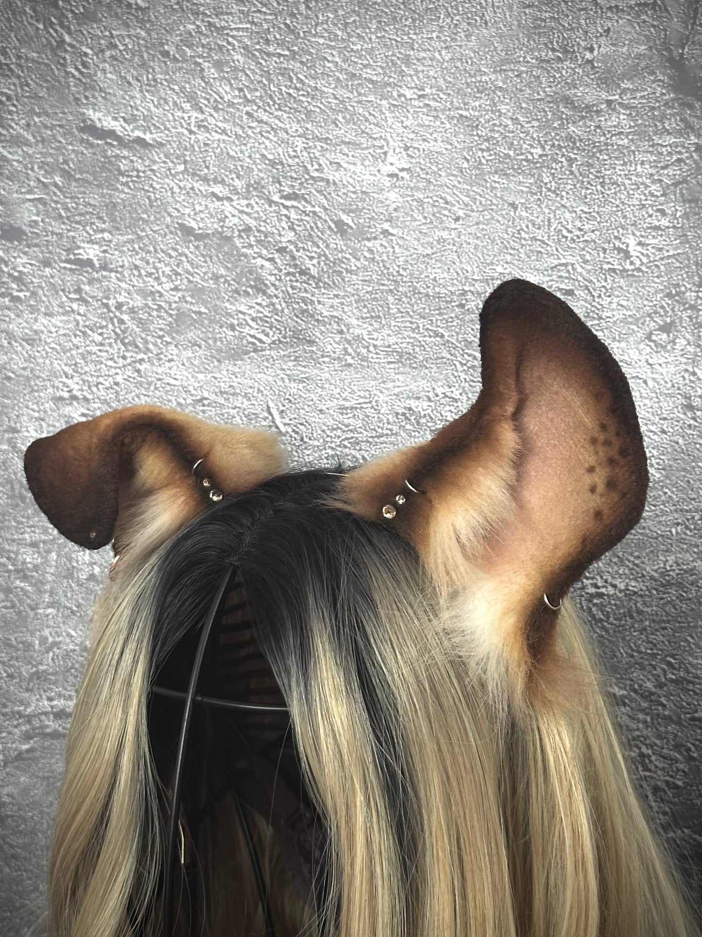 Puppy Ears RFS