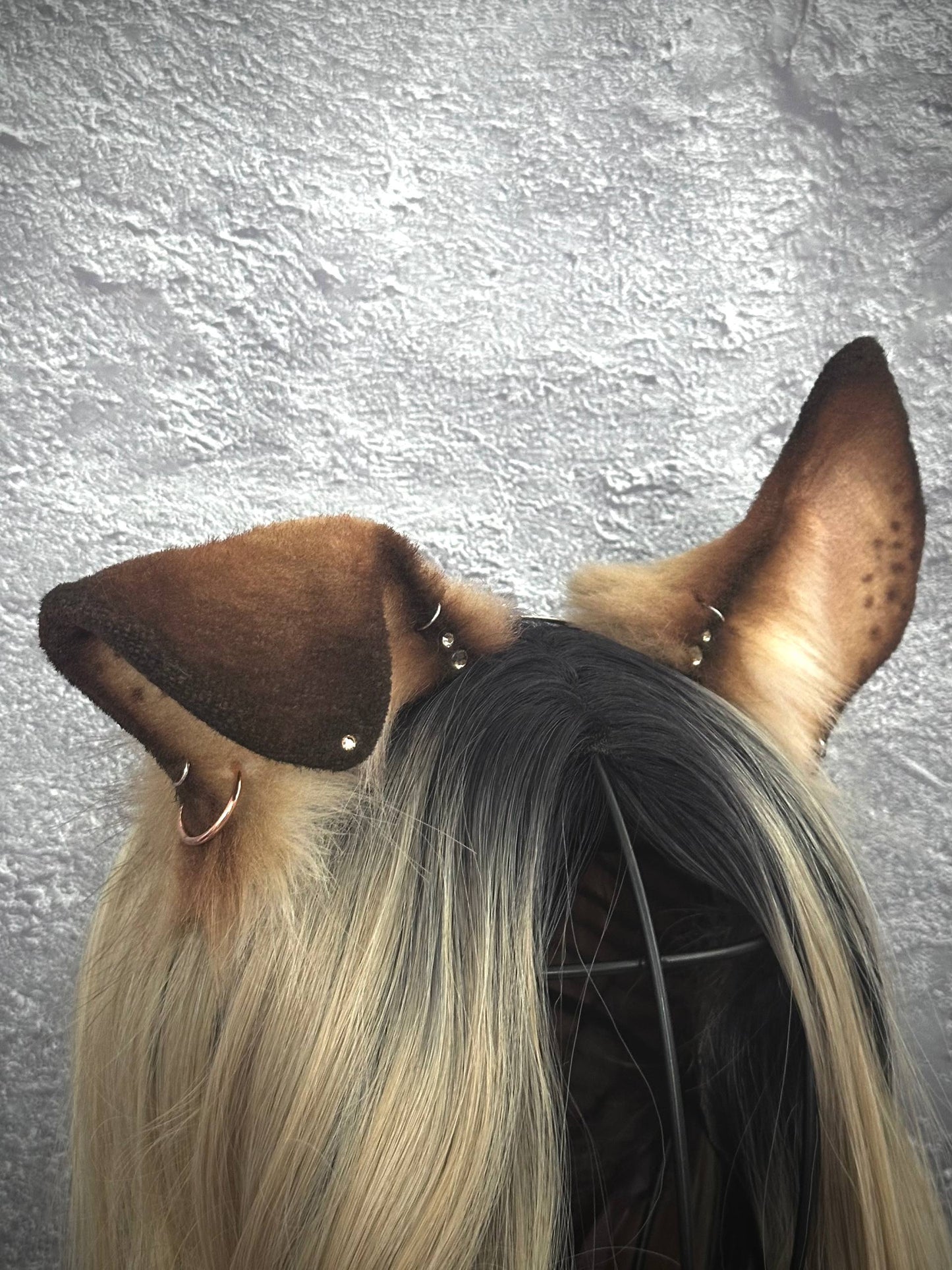 Puppy Ears RFS
