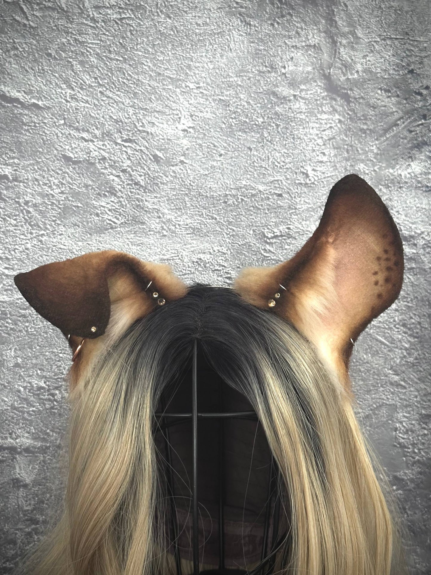 Puppy Ears RFS