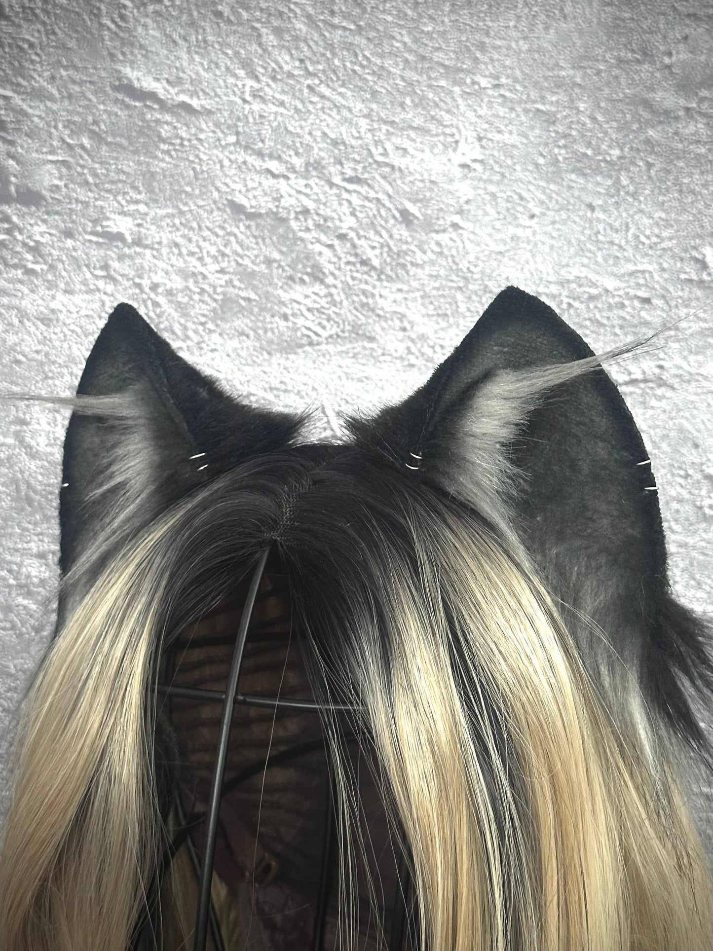 Gray Kitten RFS