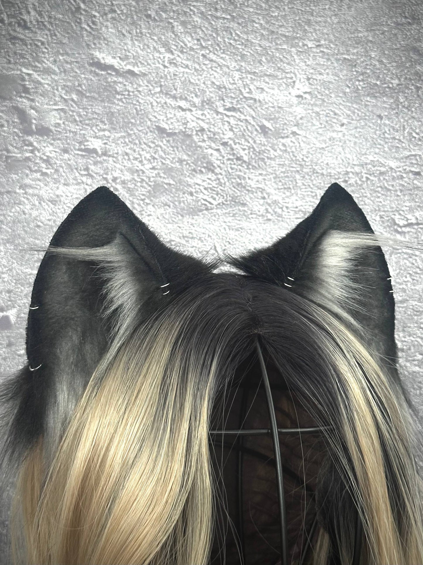 Gray Kitten RFS