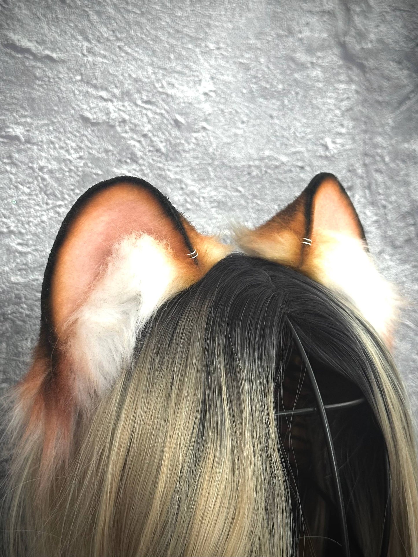 Tiger Ears RFS