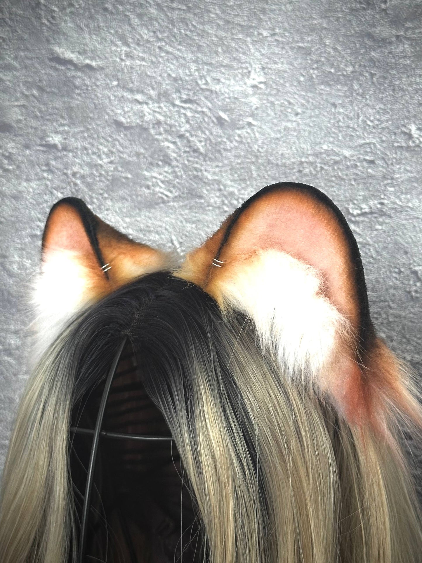 Tiger Ears RFS