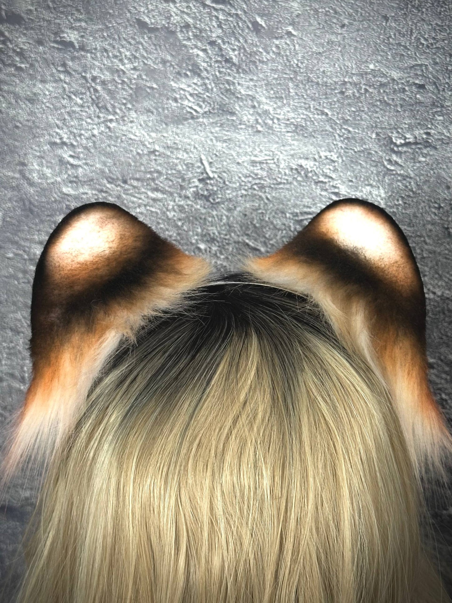 Tiger Ears RFS