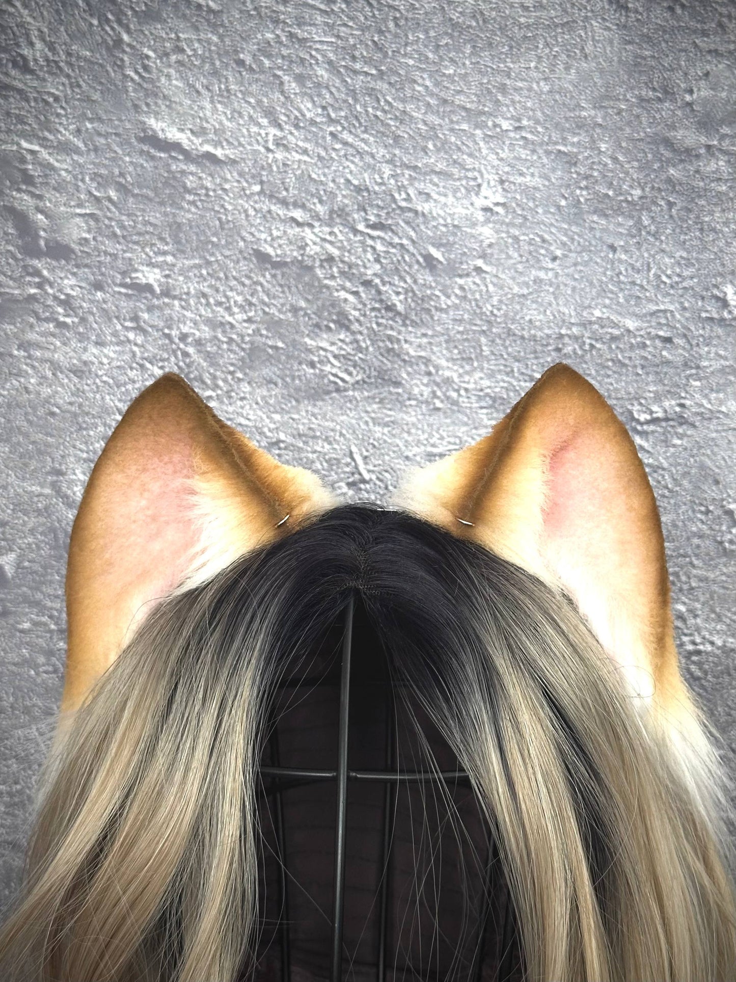 Blonde Kitten RFS