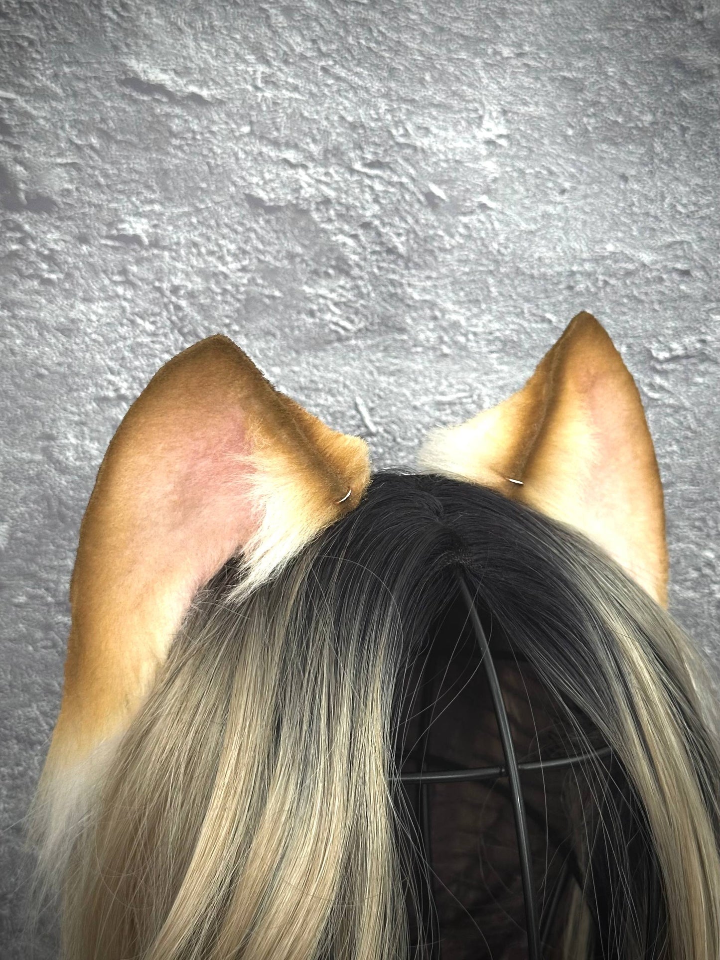 Blonde Kitten RFS