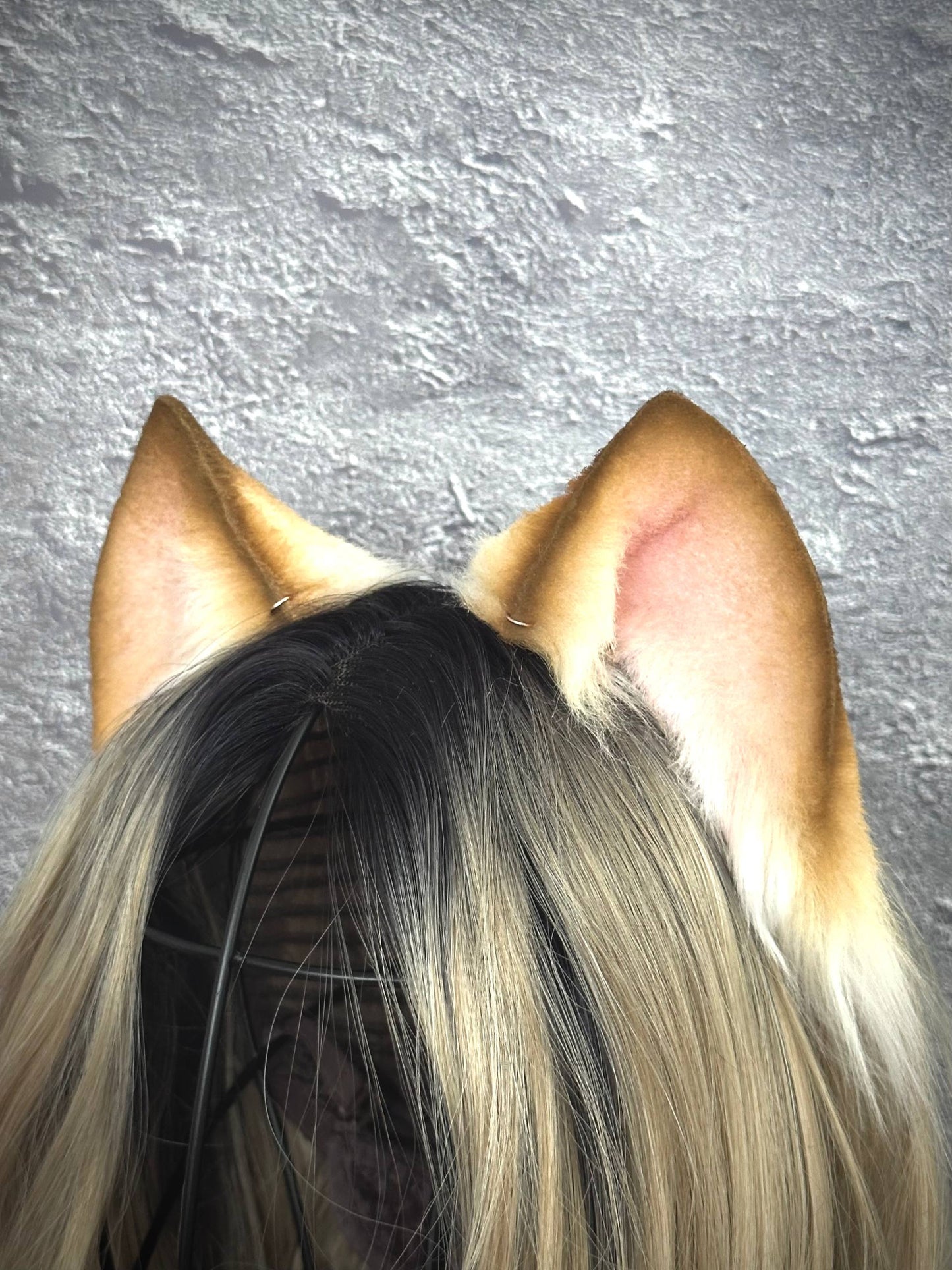 Blonde Kitten RFS