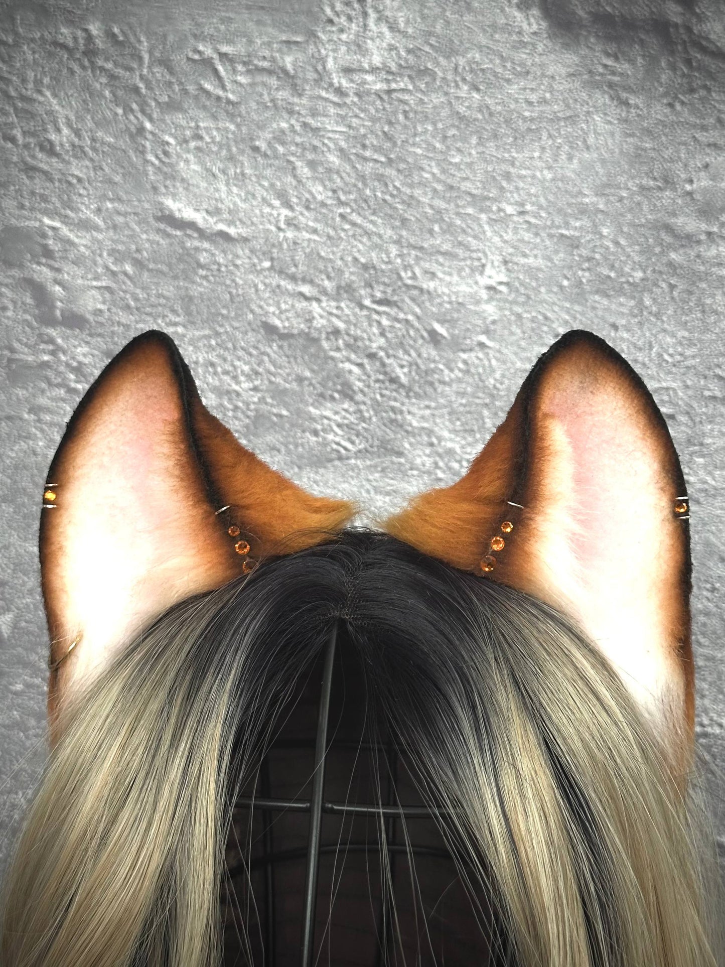 Foxy Ears  RFS