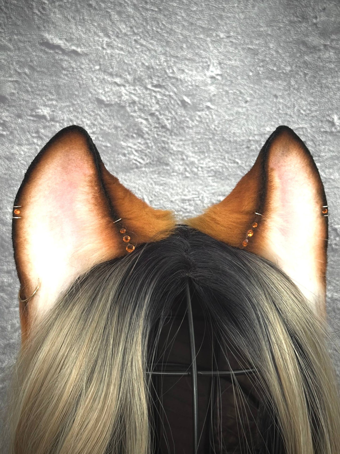 Foxy Ears  RFS