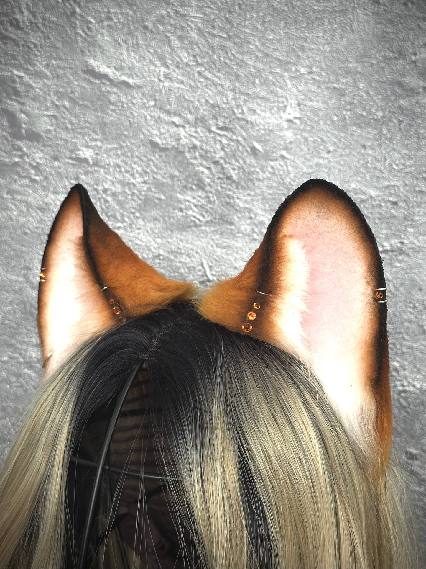 Foxy Ears  RFS