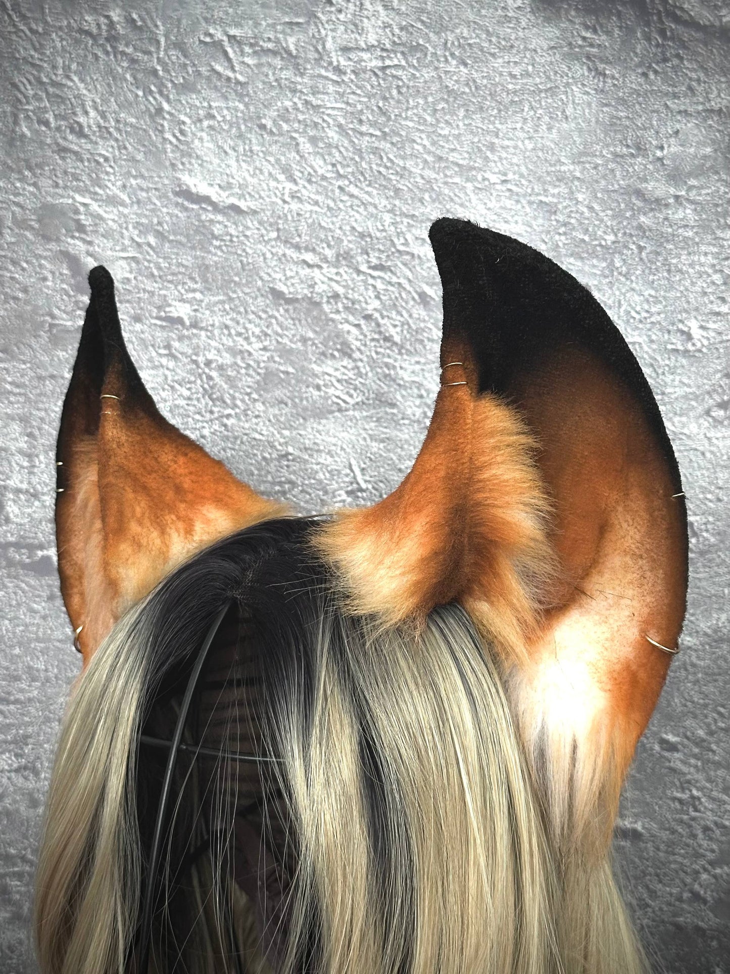 3D Fox Ears  RFS