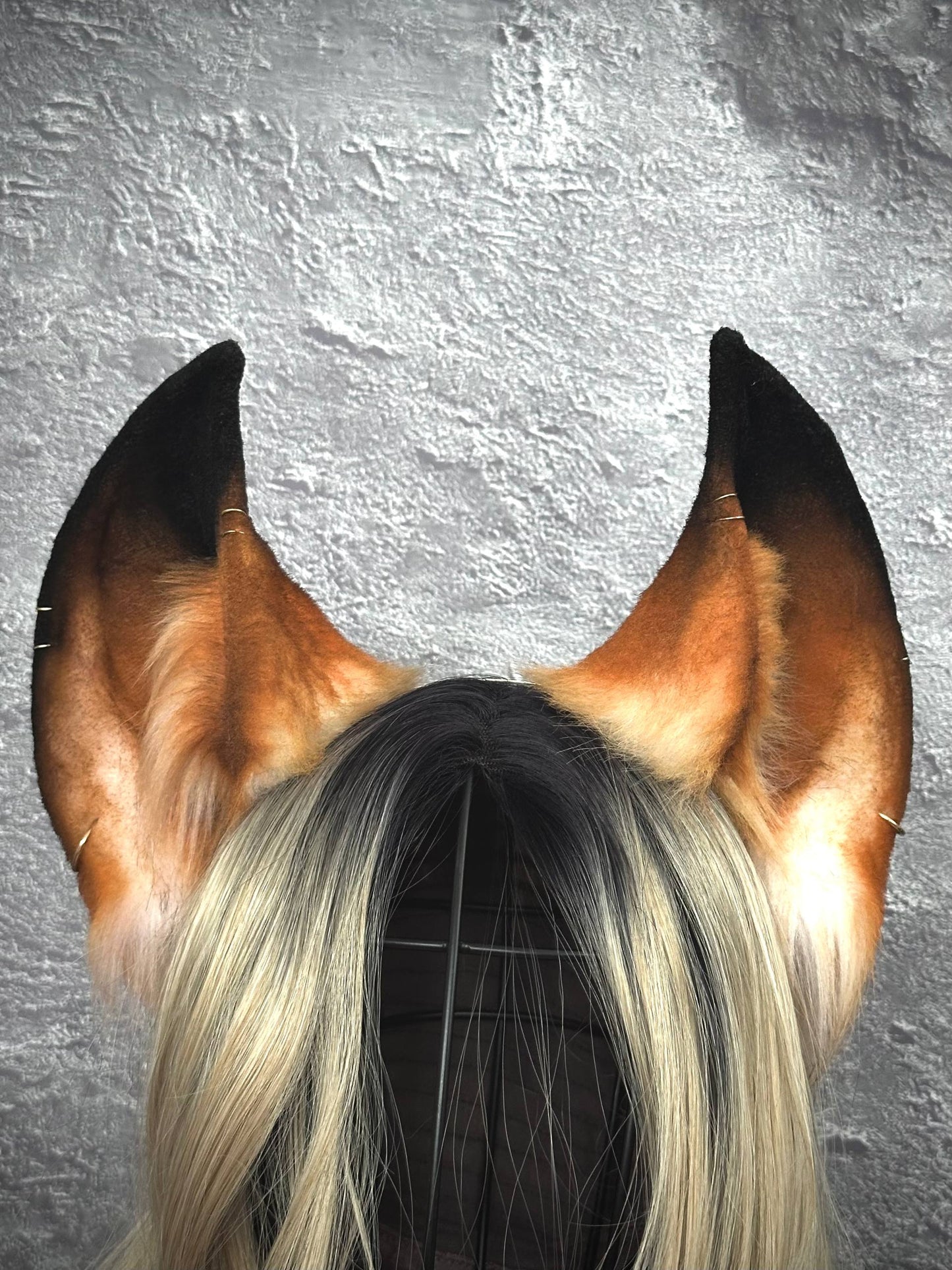 3D Fox Ears  RFS