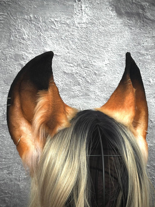 3D Fox Ears  RFS