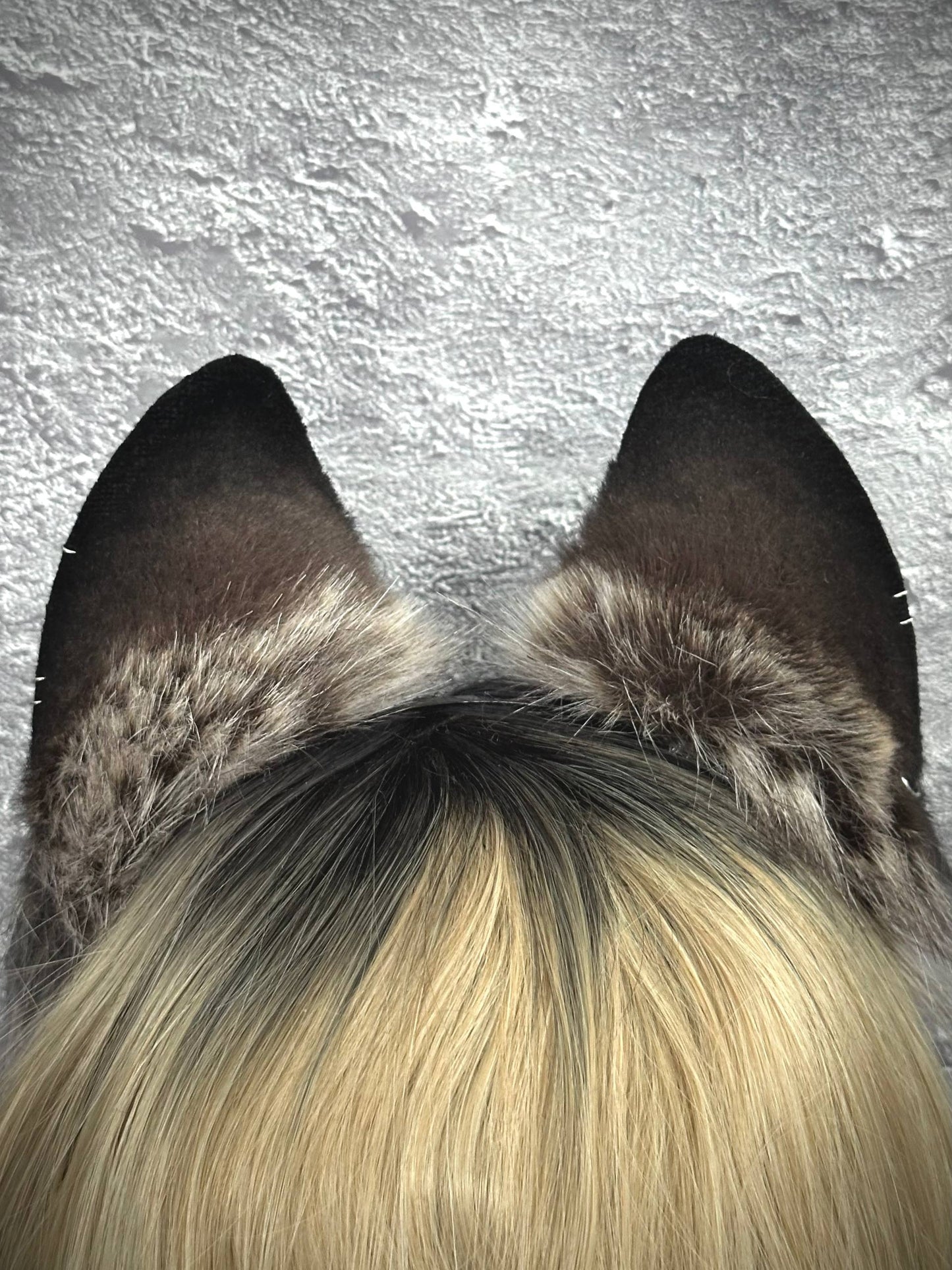 Brown Fox Ears  RFS