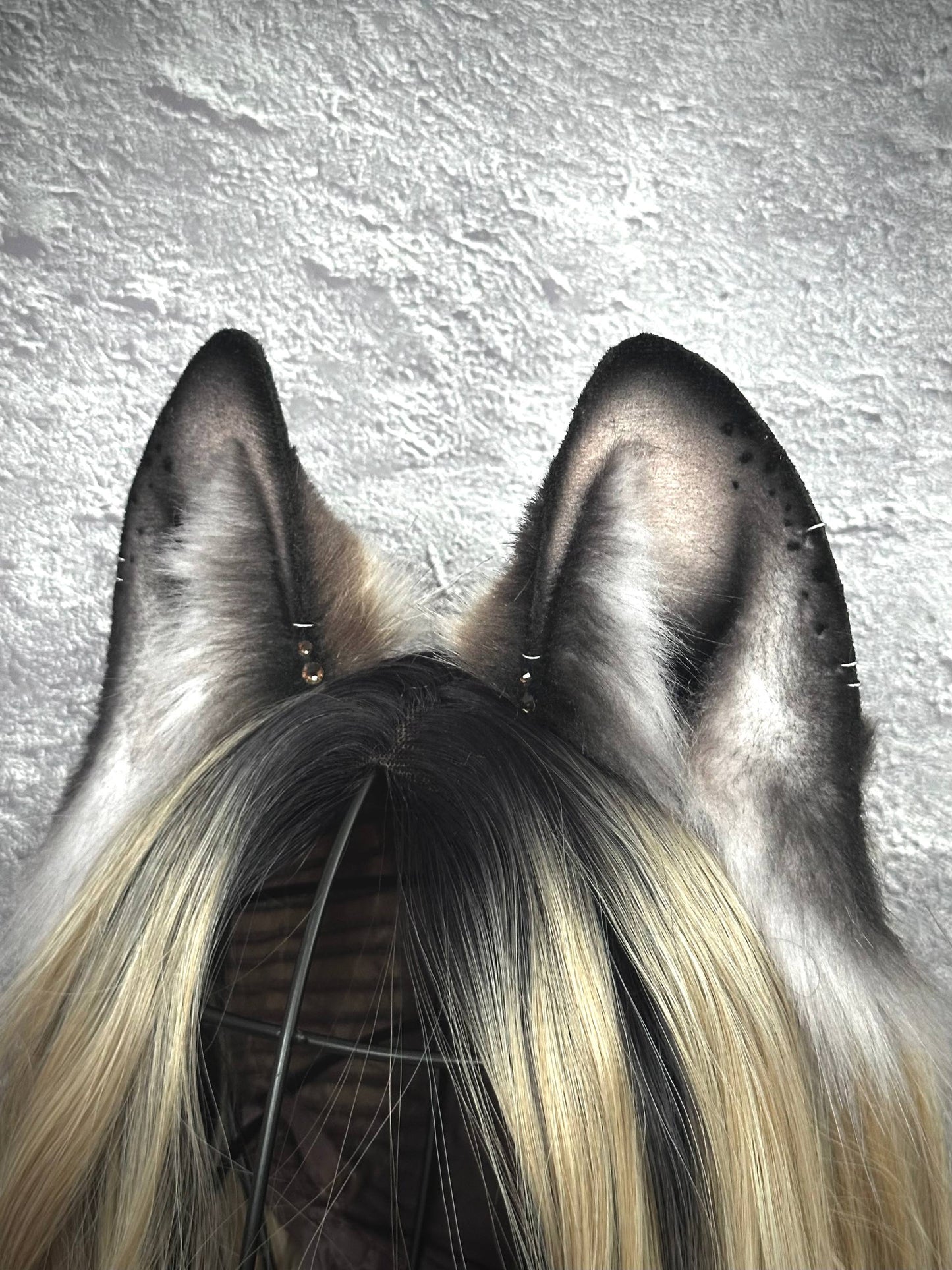 Brown Fox Ears  RFS