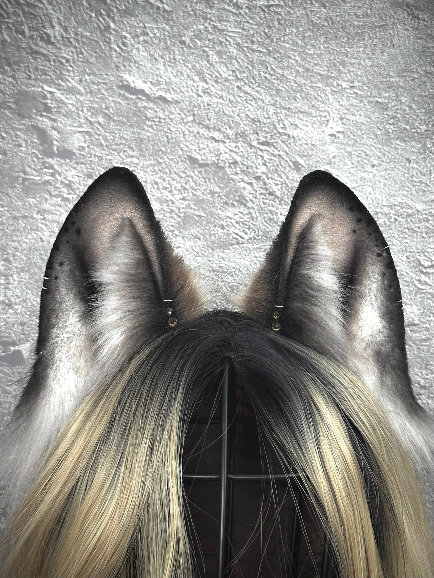 Brown Fox Ears  RFS