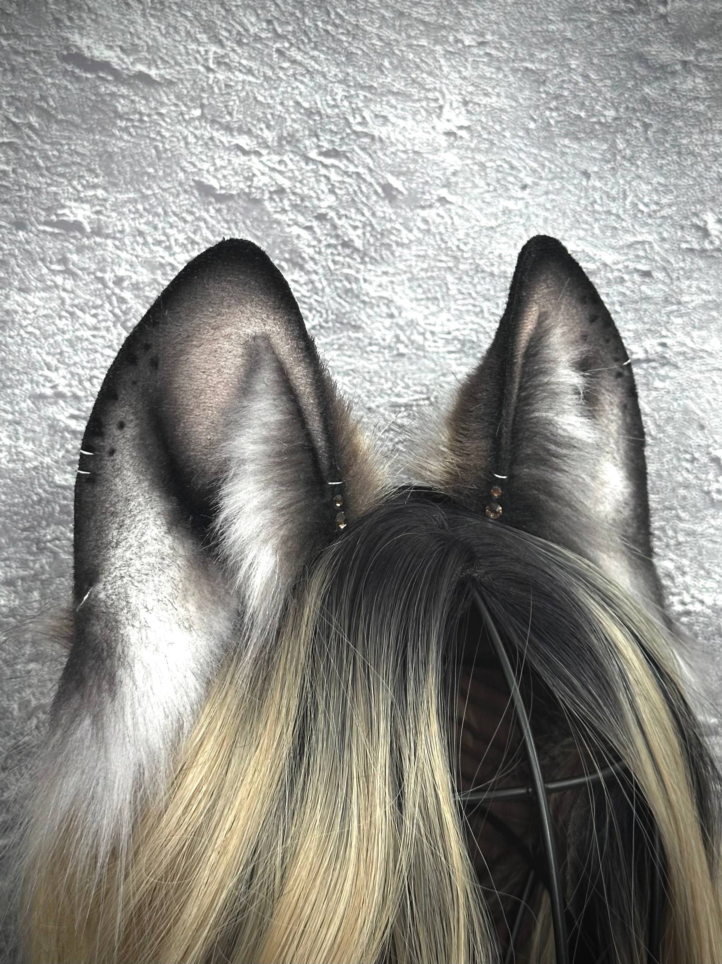 Brown Fox Ears  RFS