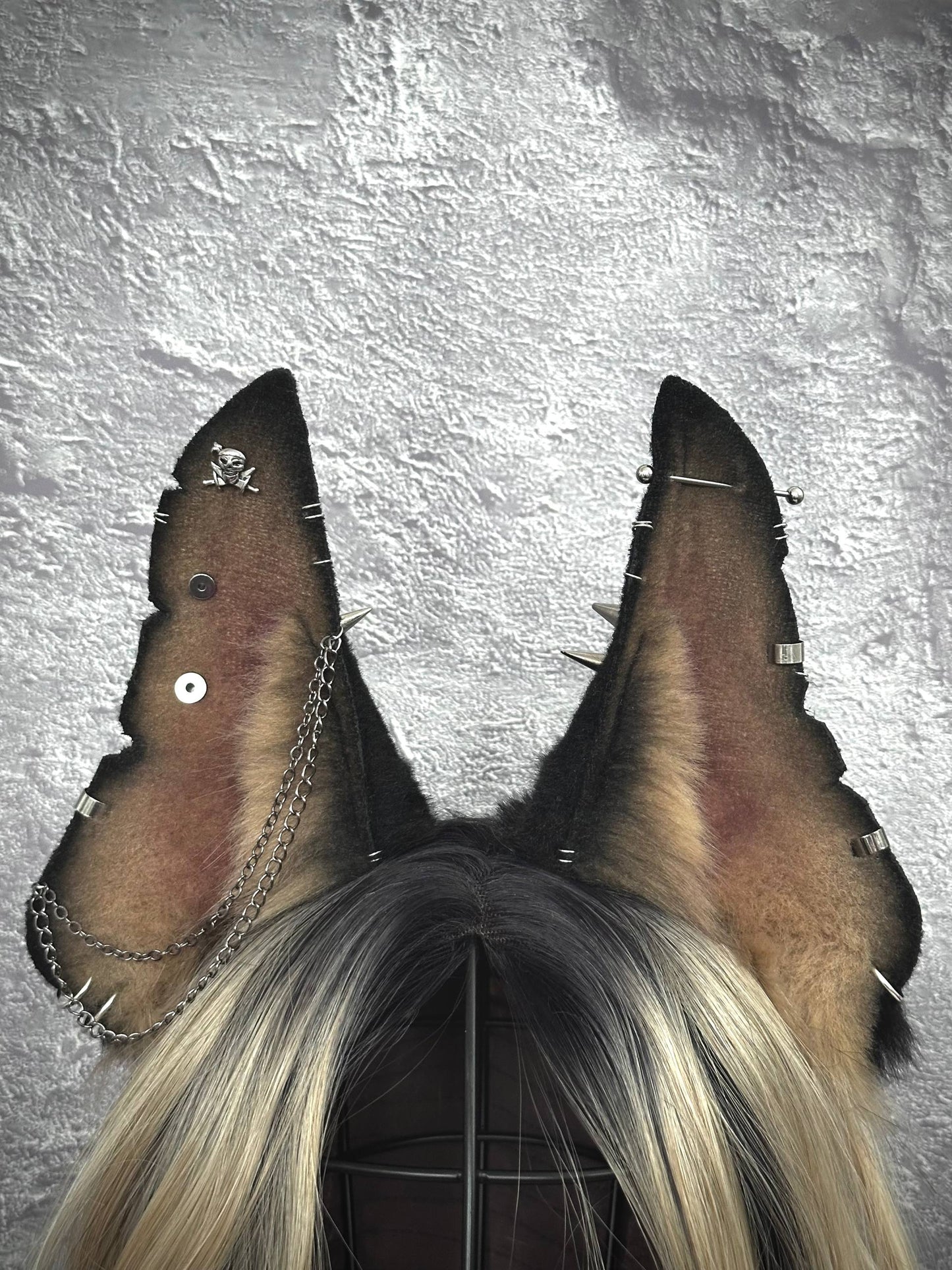 Doberman Ears RFS
