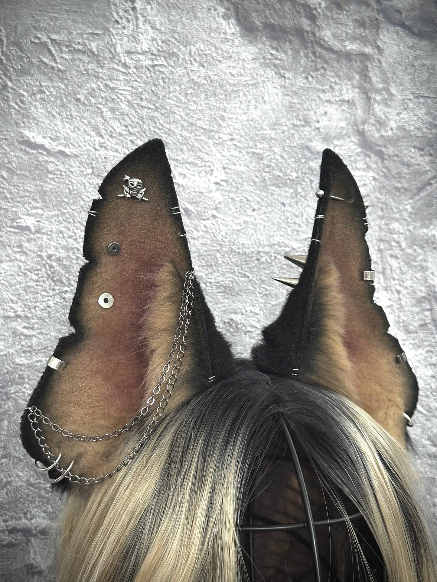 Doberman Ears RFS