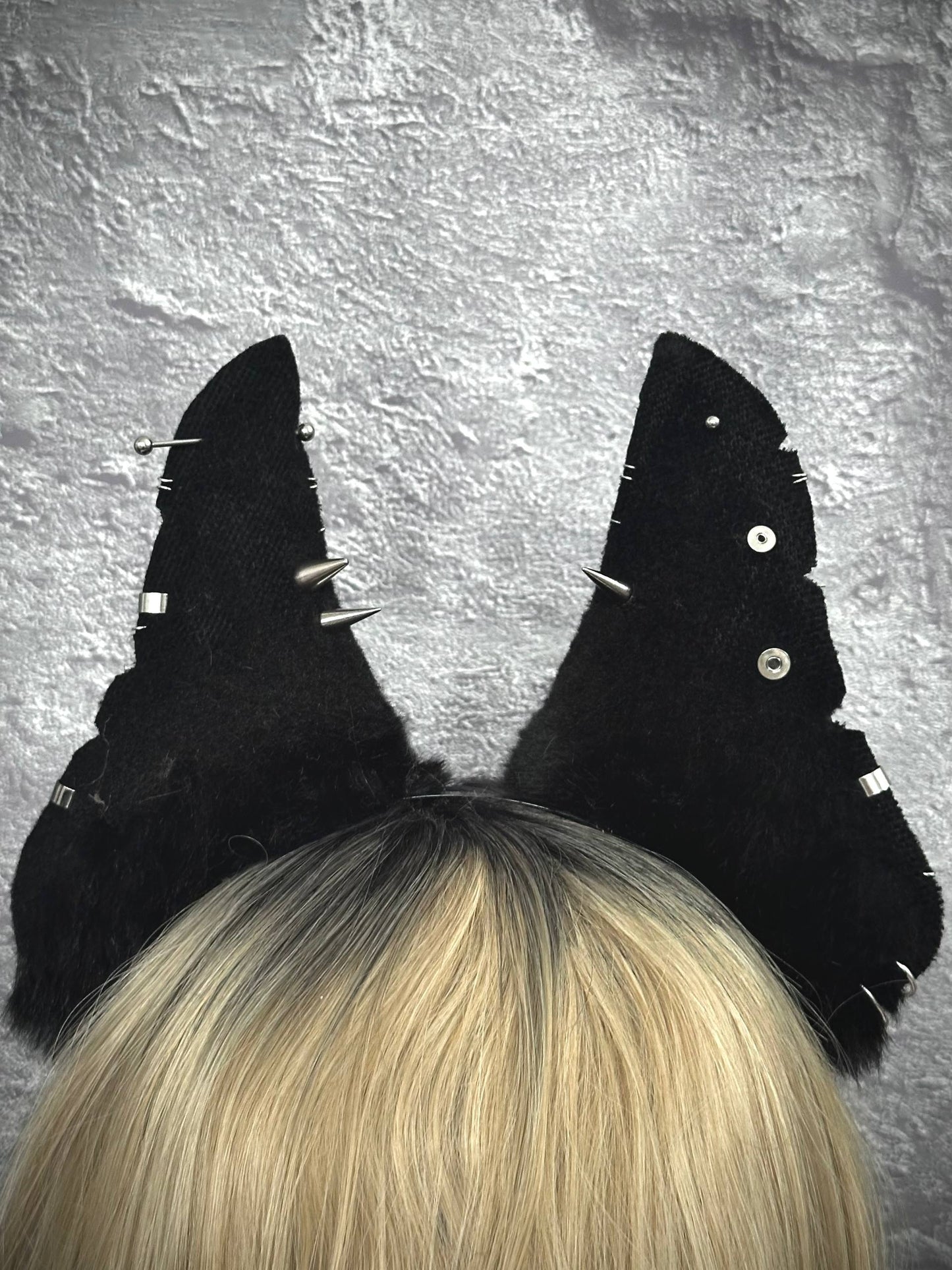 Doberman Ears RFS