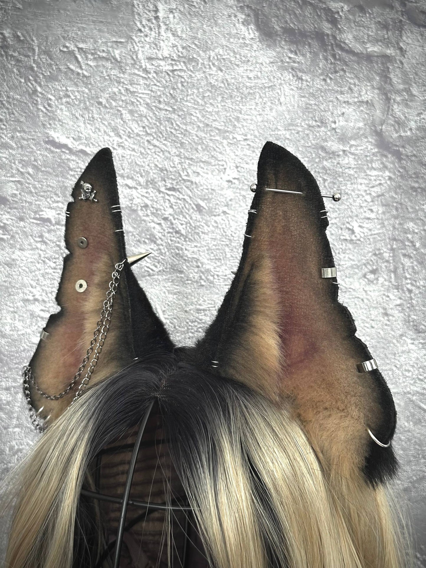 Doberman Ears RFS