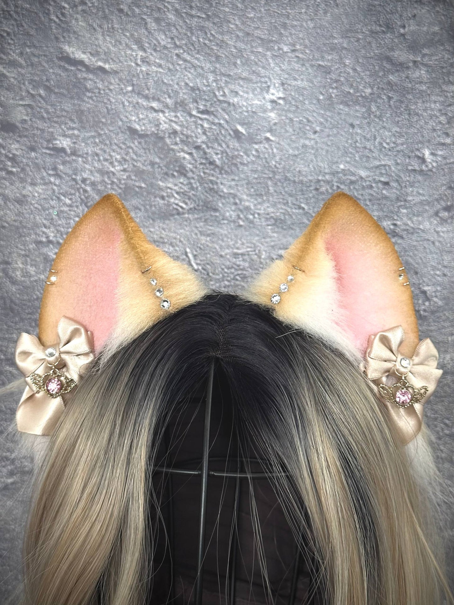 Blonde Kitten RFS