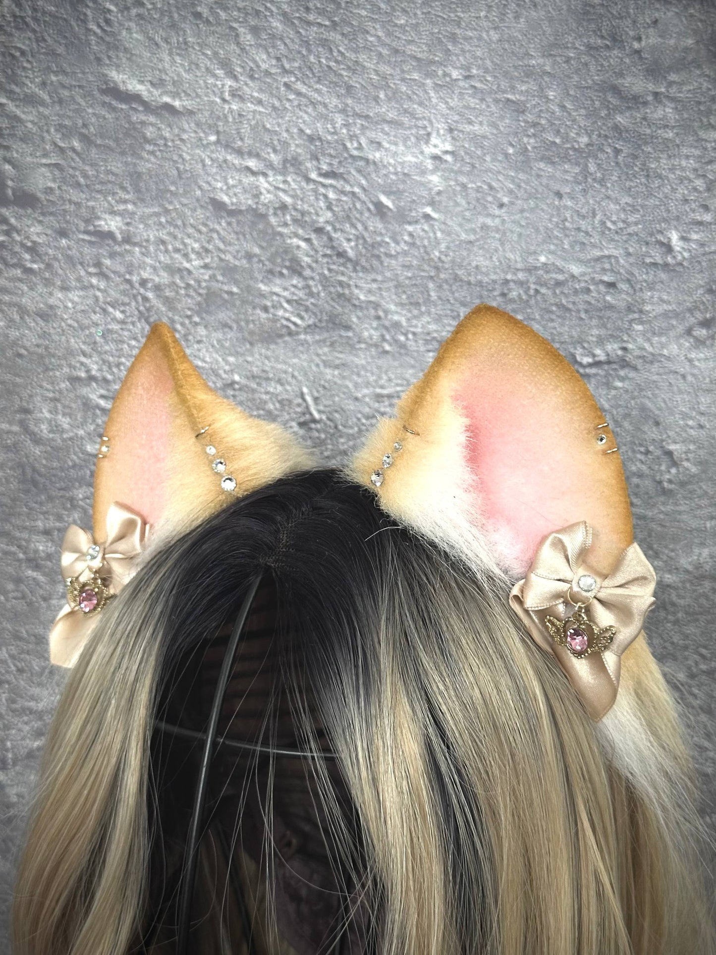 Blonde Kitten RFS