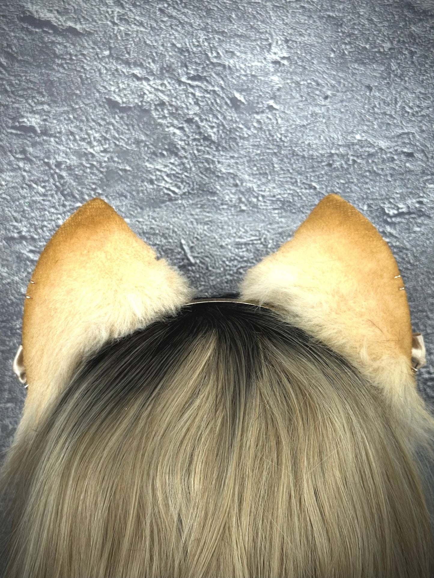 Blonde Kitten RFS