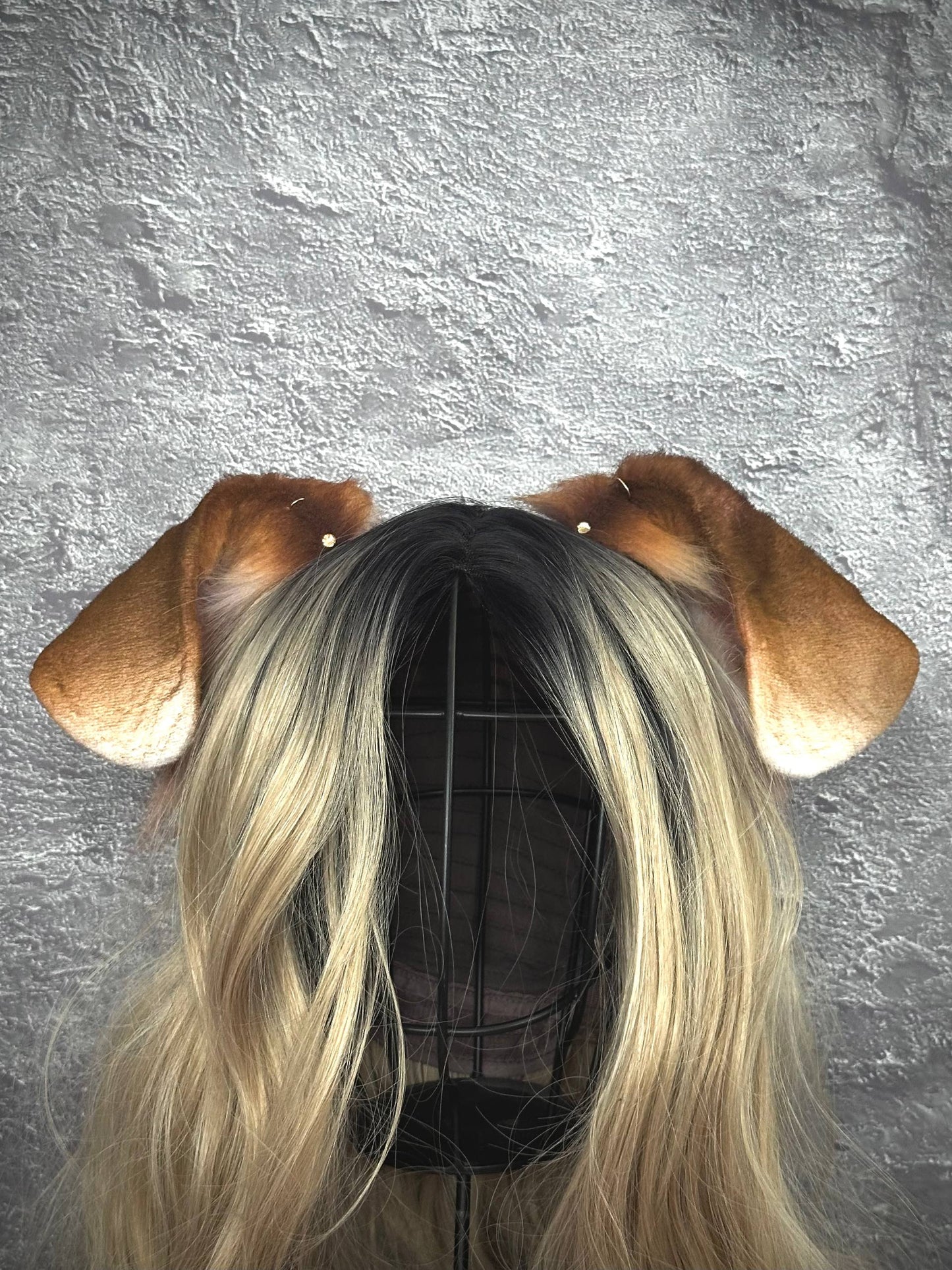 Floppy Puppy Ears RFS