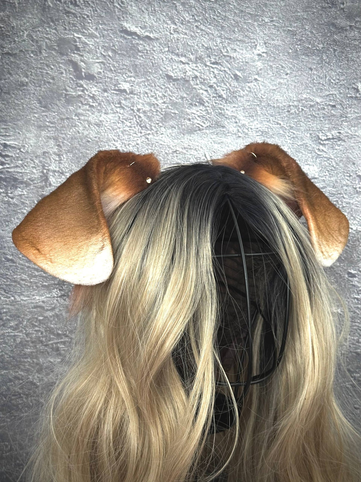Floppy Puppy Ears RFS