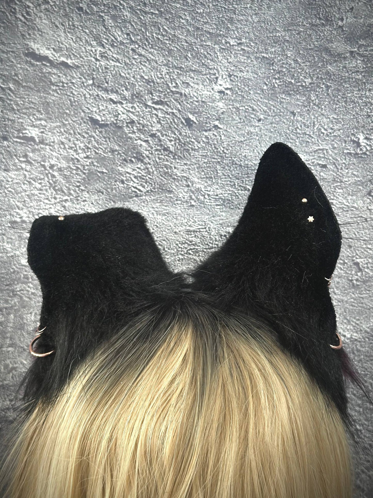 Maroon Puppy Ears RFS