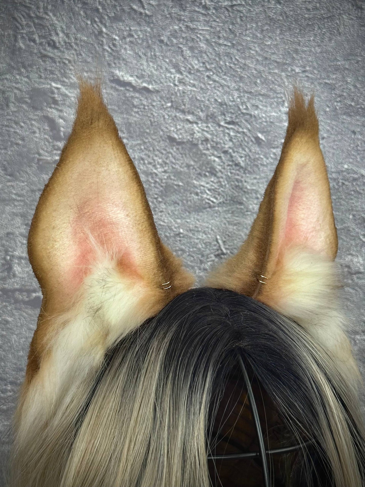 Blonde Lynx Ears RFS