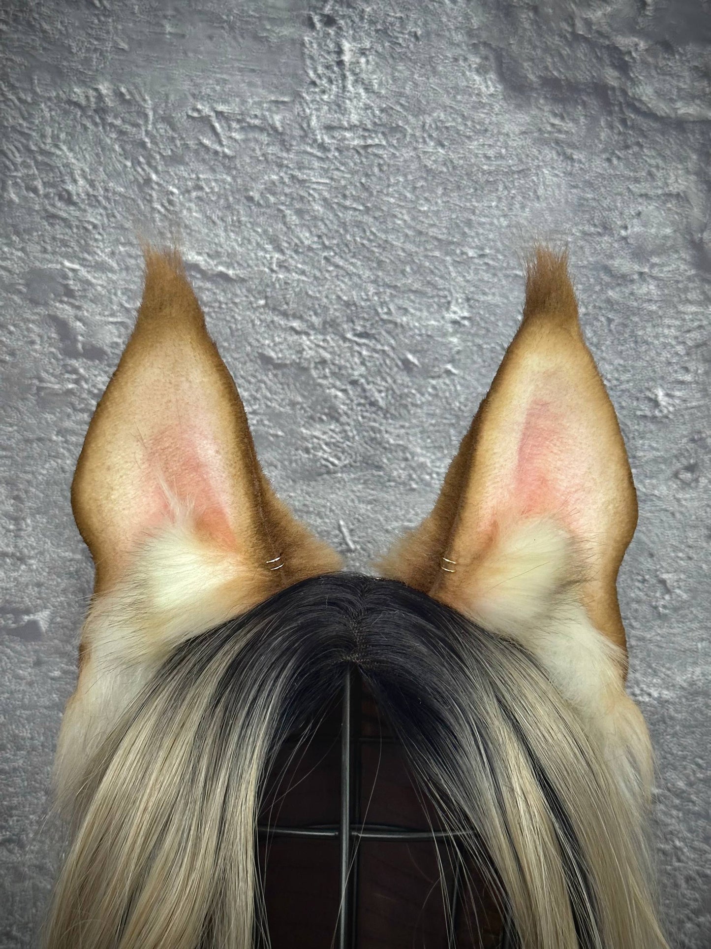 Blonde Lynx Ears RFS
