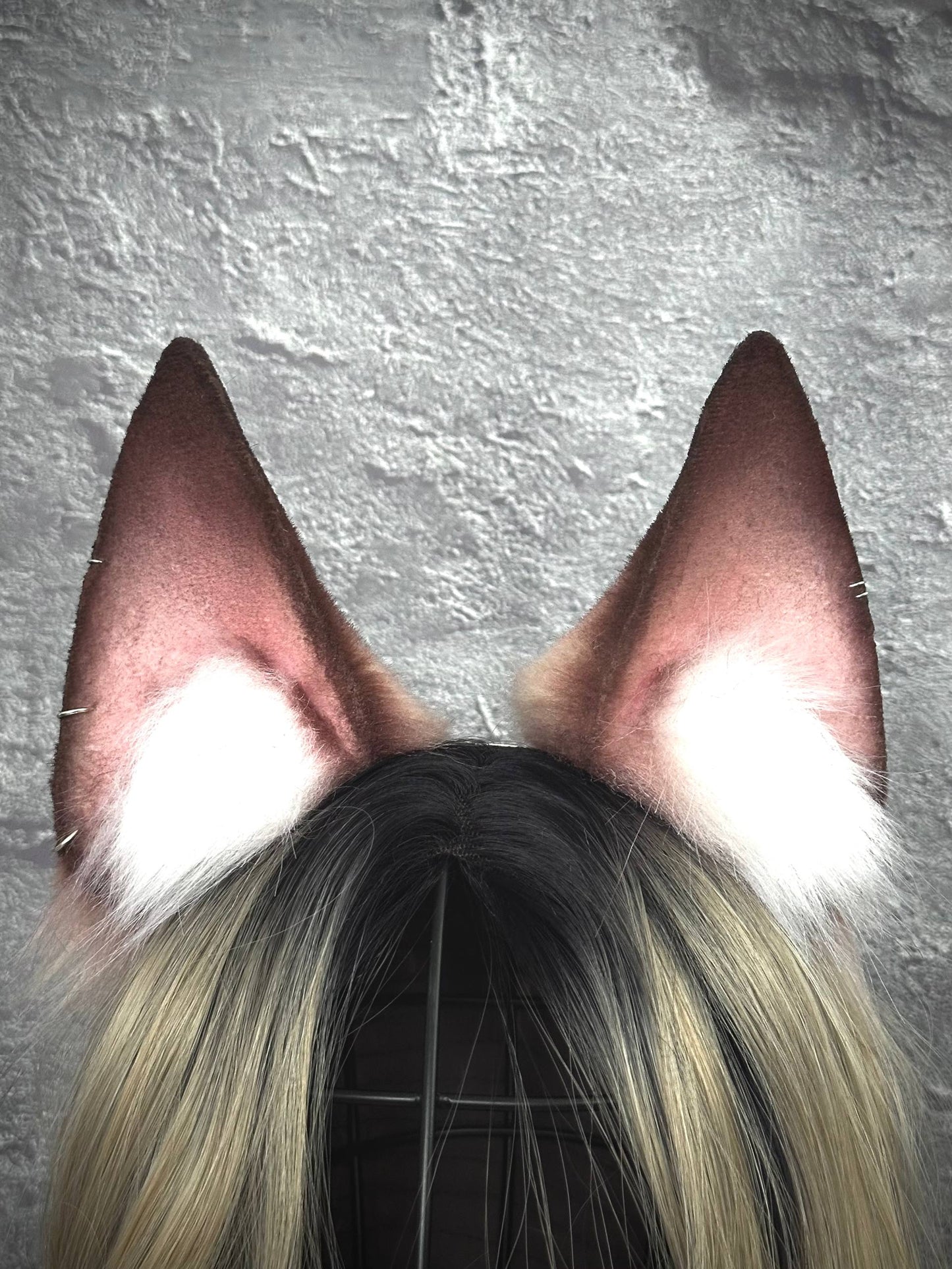 Maple Brown Fox Ears RFS