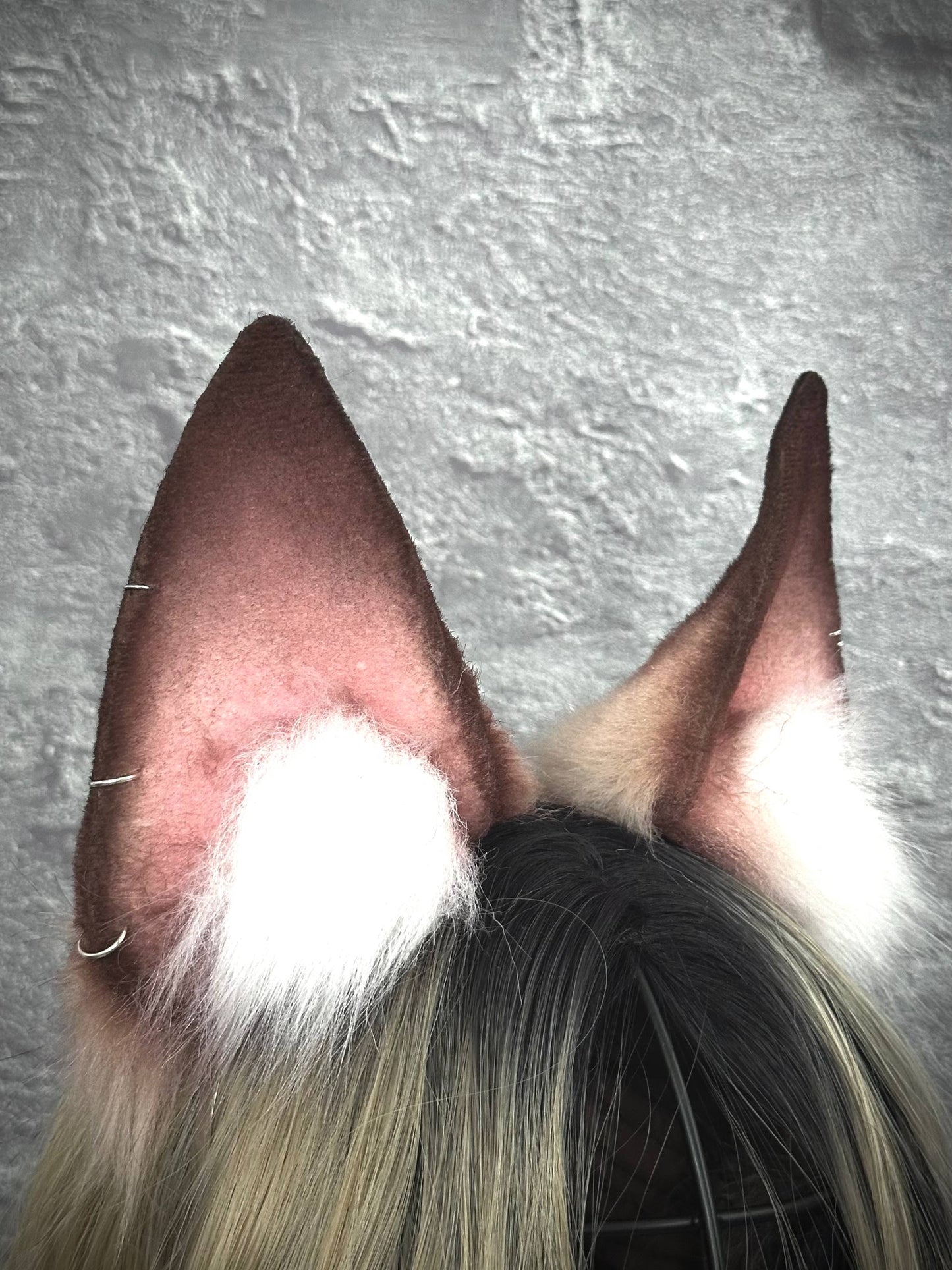 Maple Brown Fox Ears RFS