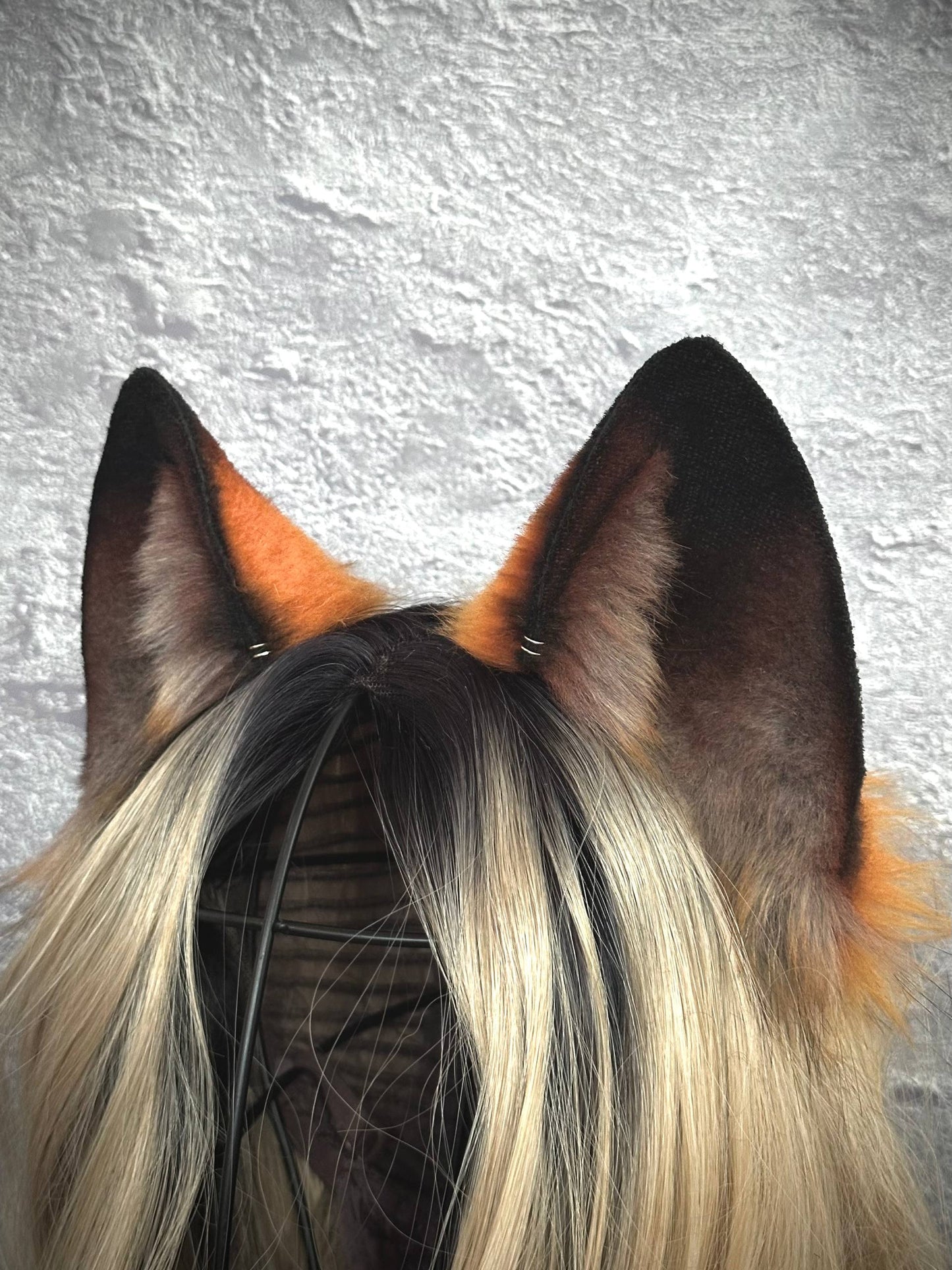 Brown Fox Ears  RFS