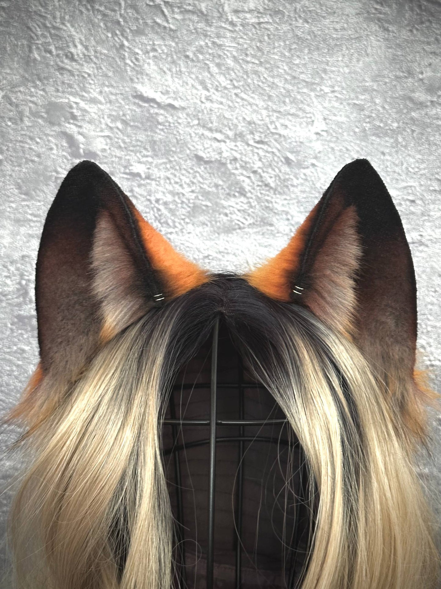 Brown Fox Ears  RFS