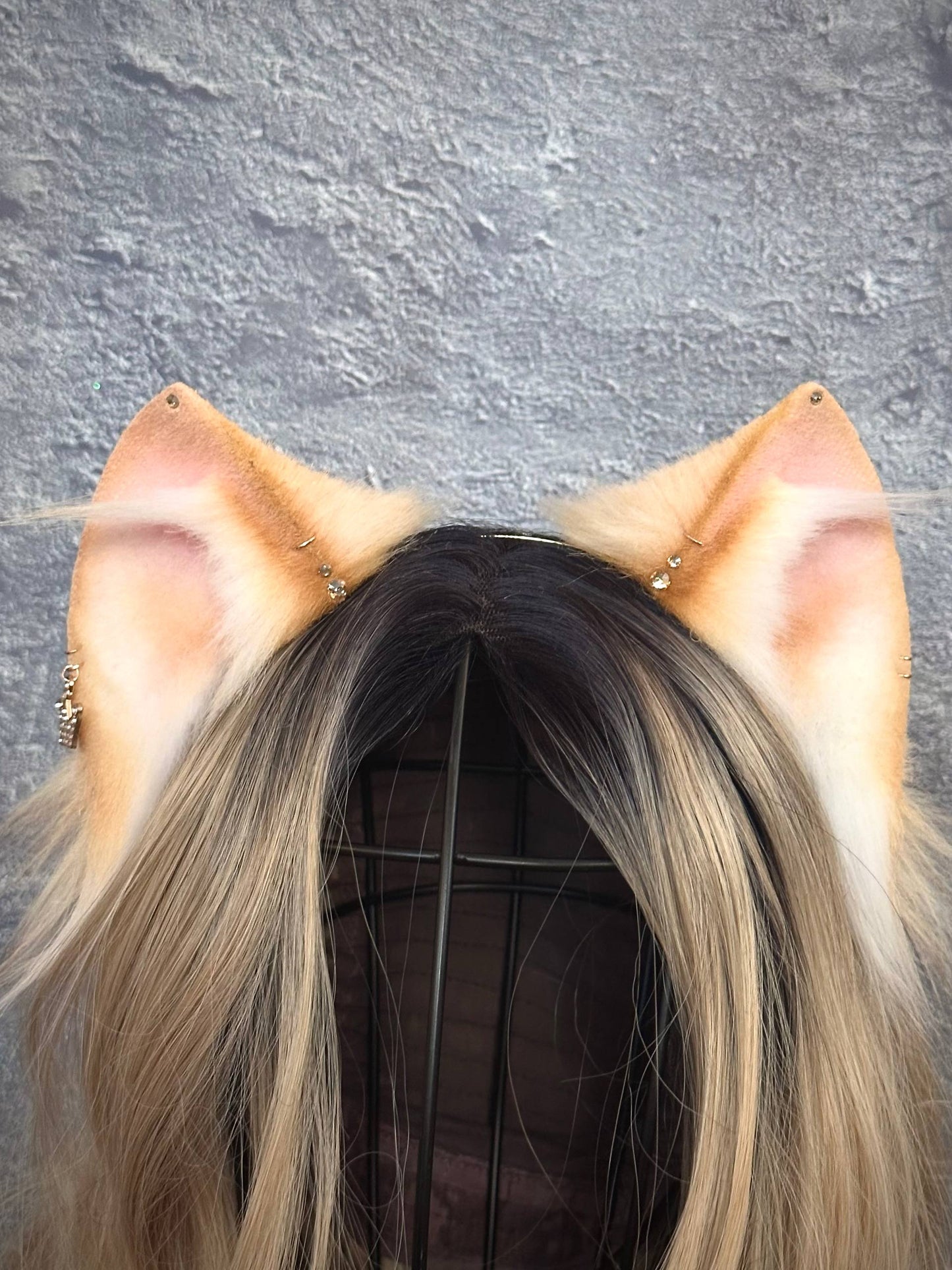 Blonde Kitten RFS