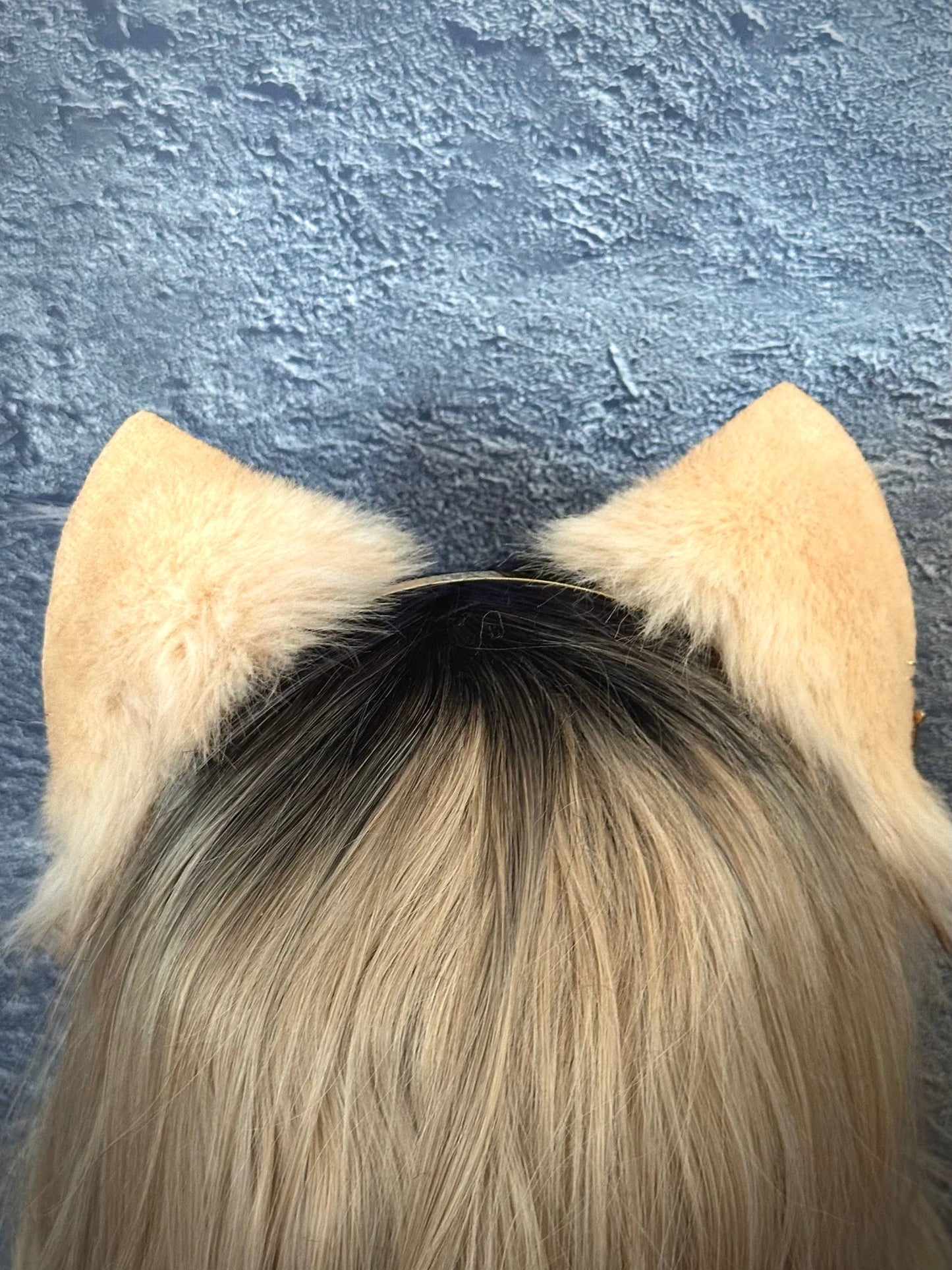 Blonde Kitten RFS
