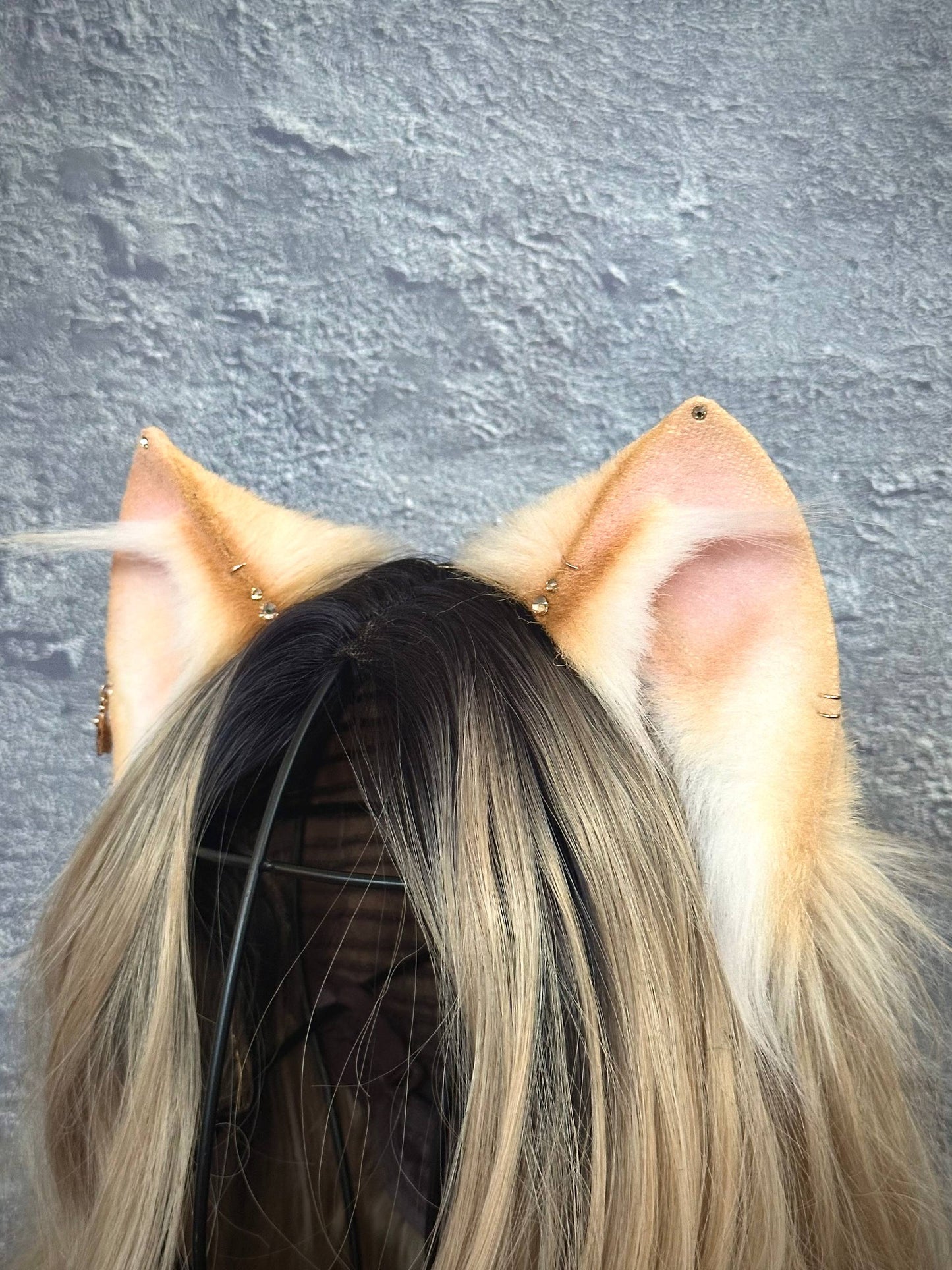 Blonde Kitten RFS