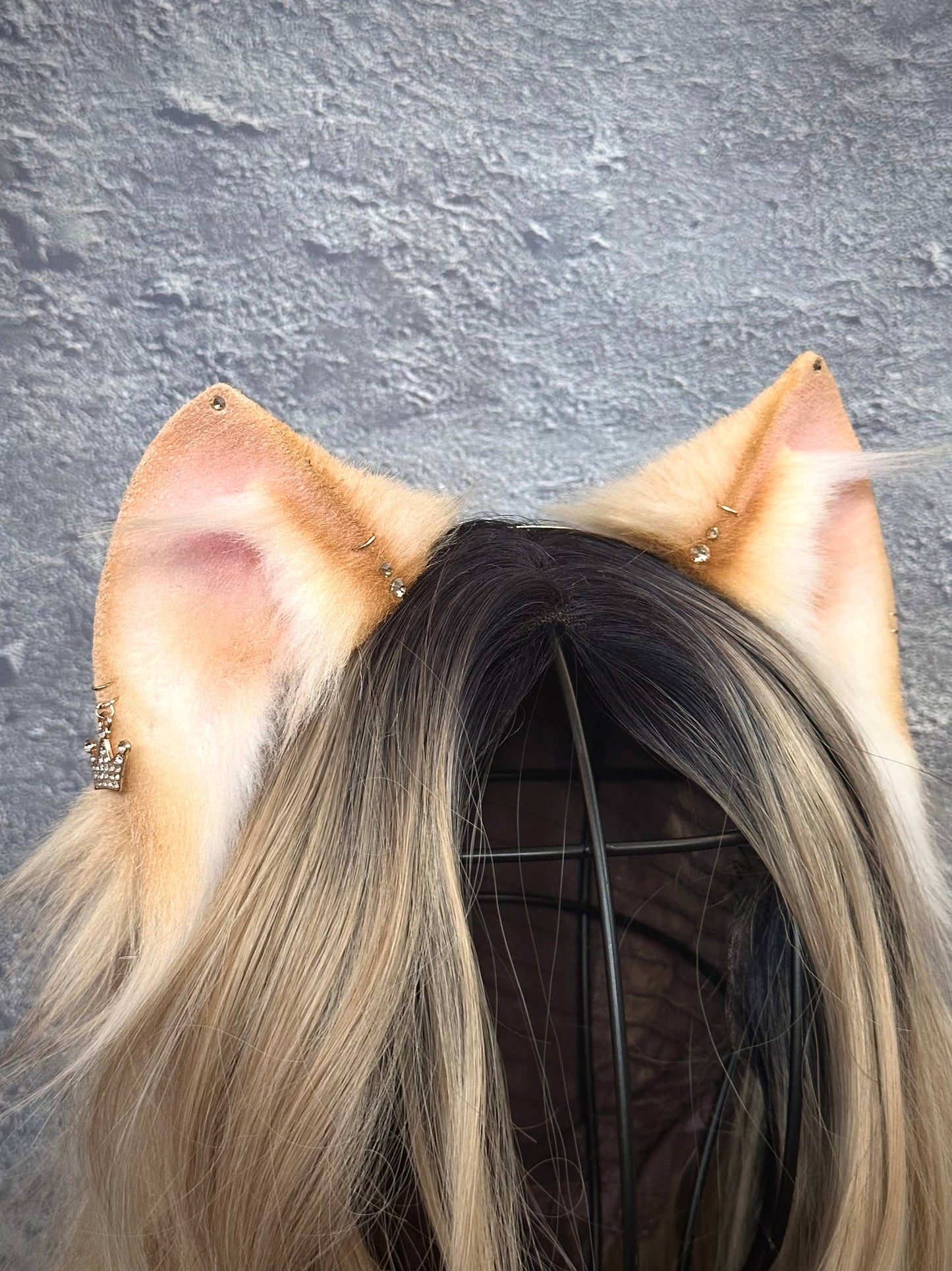 Blonde Kitten RFS