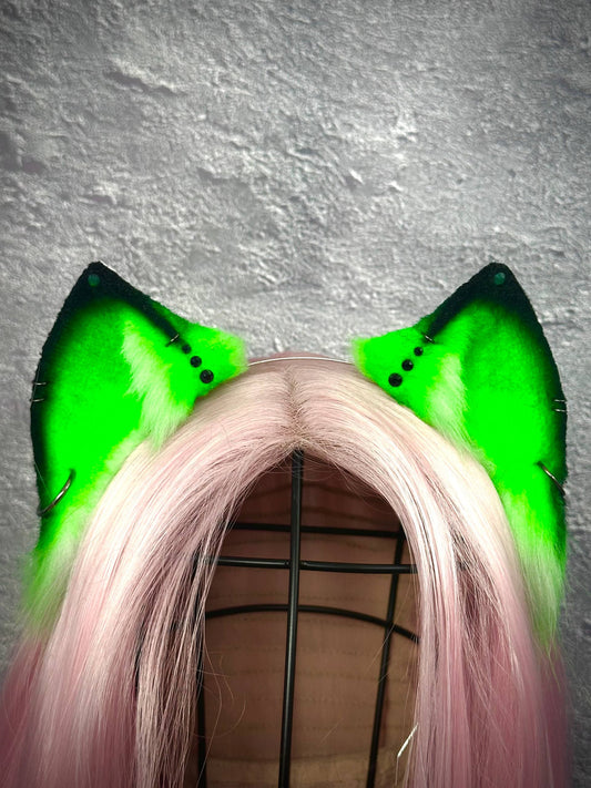 Acid Kitten Ears RFS